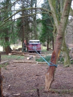 capstan winch in use to bring down a hung up tree
